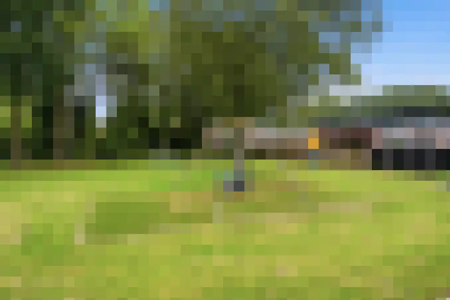 Nachtegaalstraat 8 Mill thumbnail 29