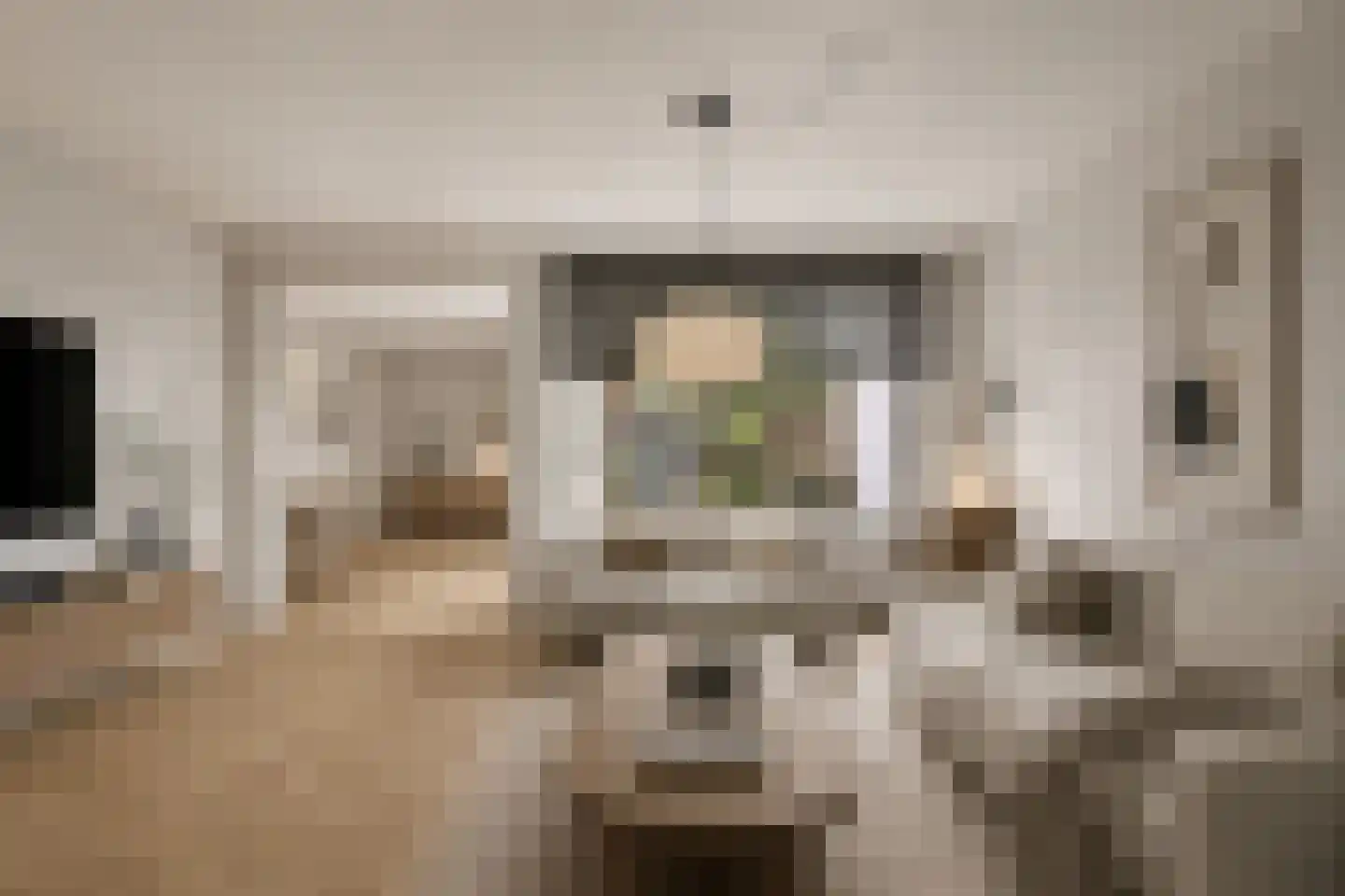 Nachtegaalstraat 8 Mill thumbnail 4