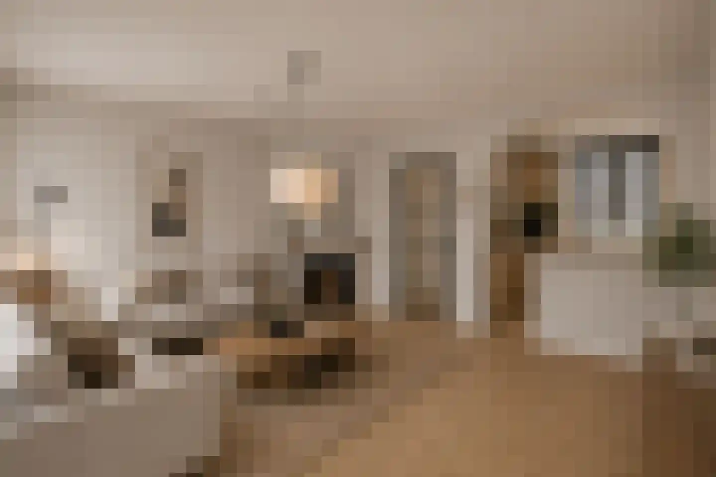 Nachtegaalstraat 8 Mill thumbnail 6