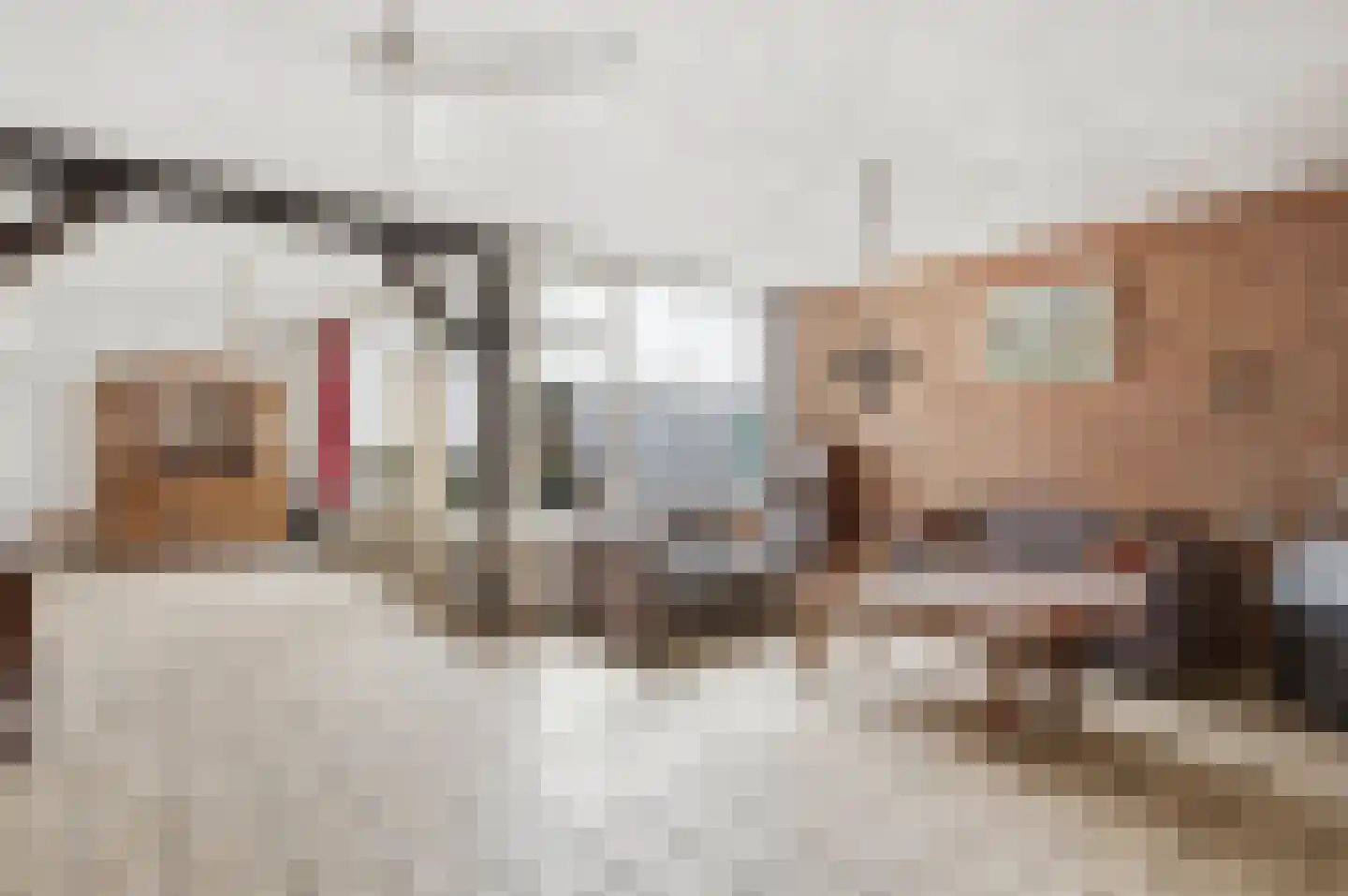 Nachtegaalstraat 8 Mill thumbnail 7