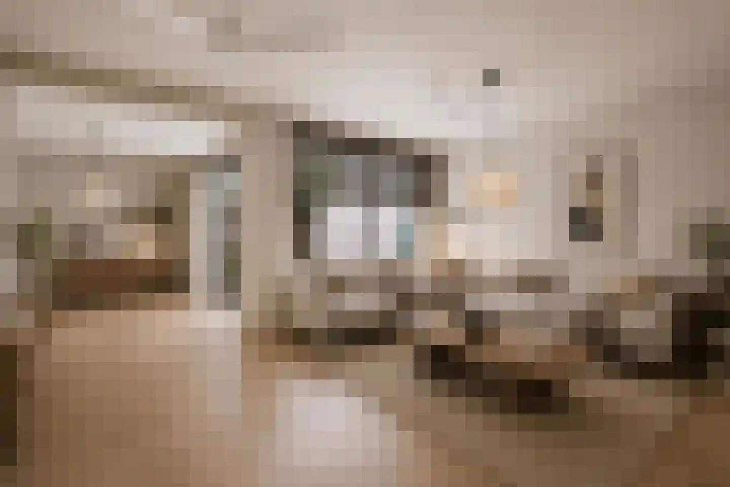 Nachtegaalstraat 8 Mill thumbnail 8