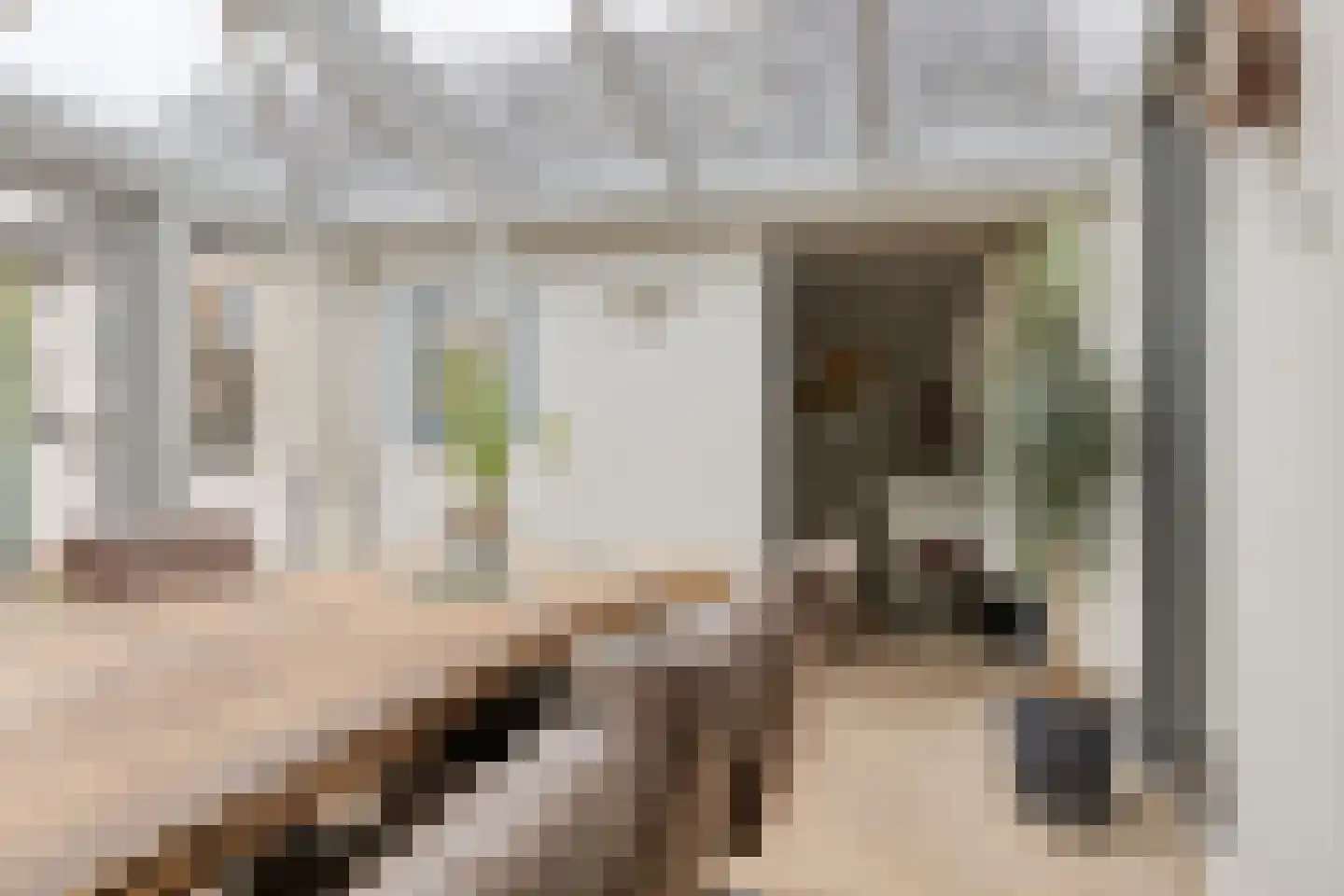 Nachtegaalstraat 85 Haaksbergen thumbnail 22