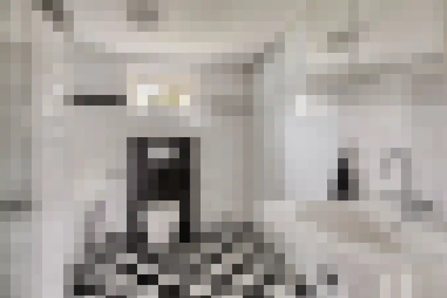 Nachtegaalstraat 85 Haaksbergen thumbnail 24