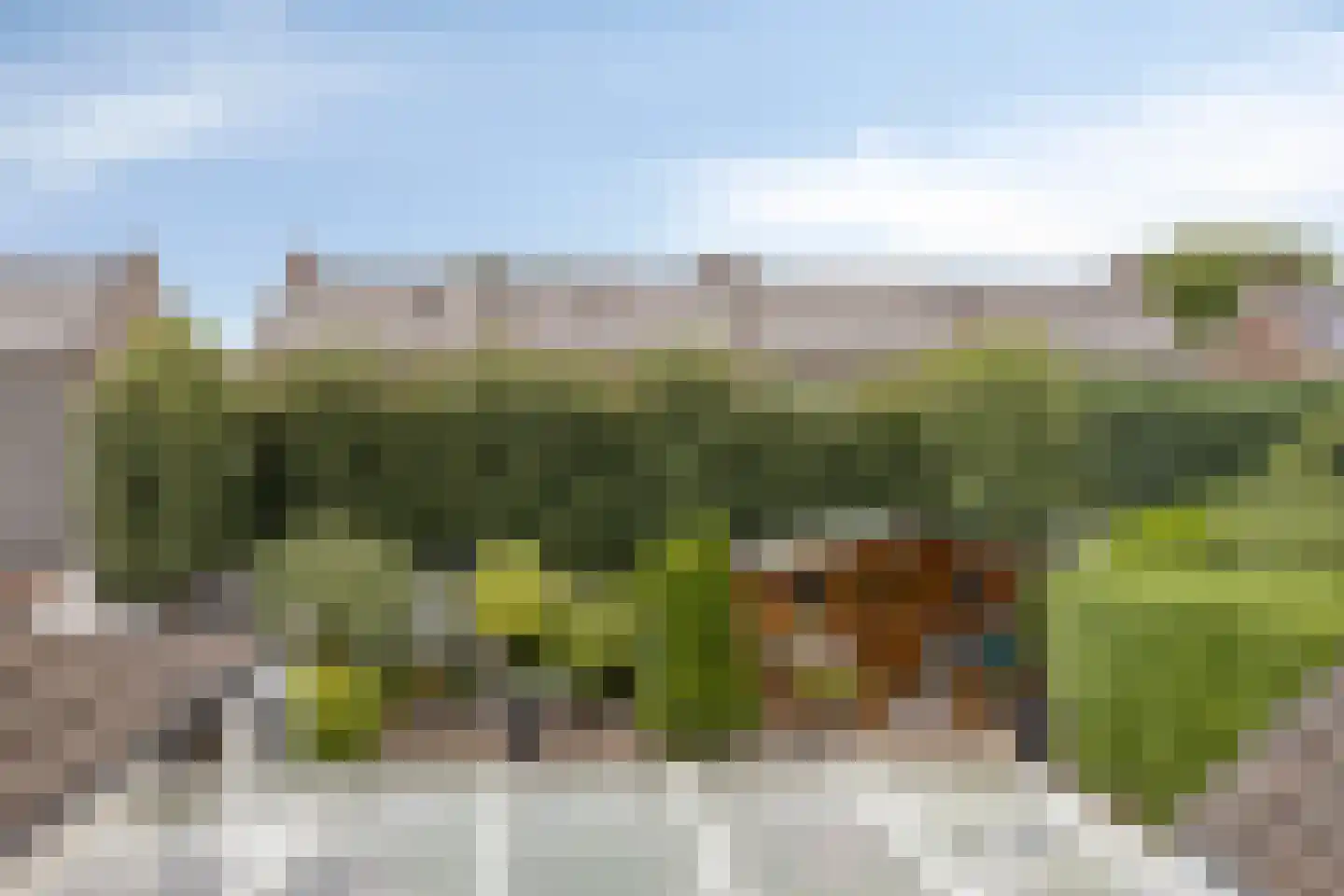 Nachtegaalstraat 85 Haaksbergen thumbnail 35