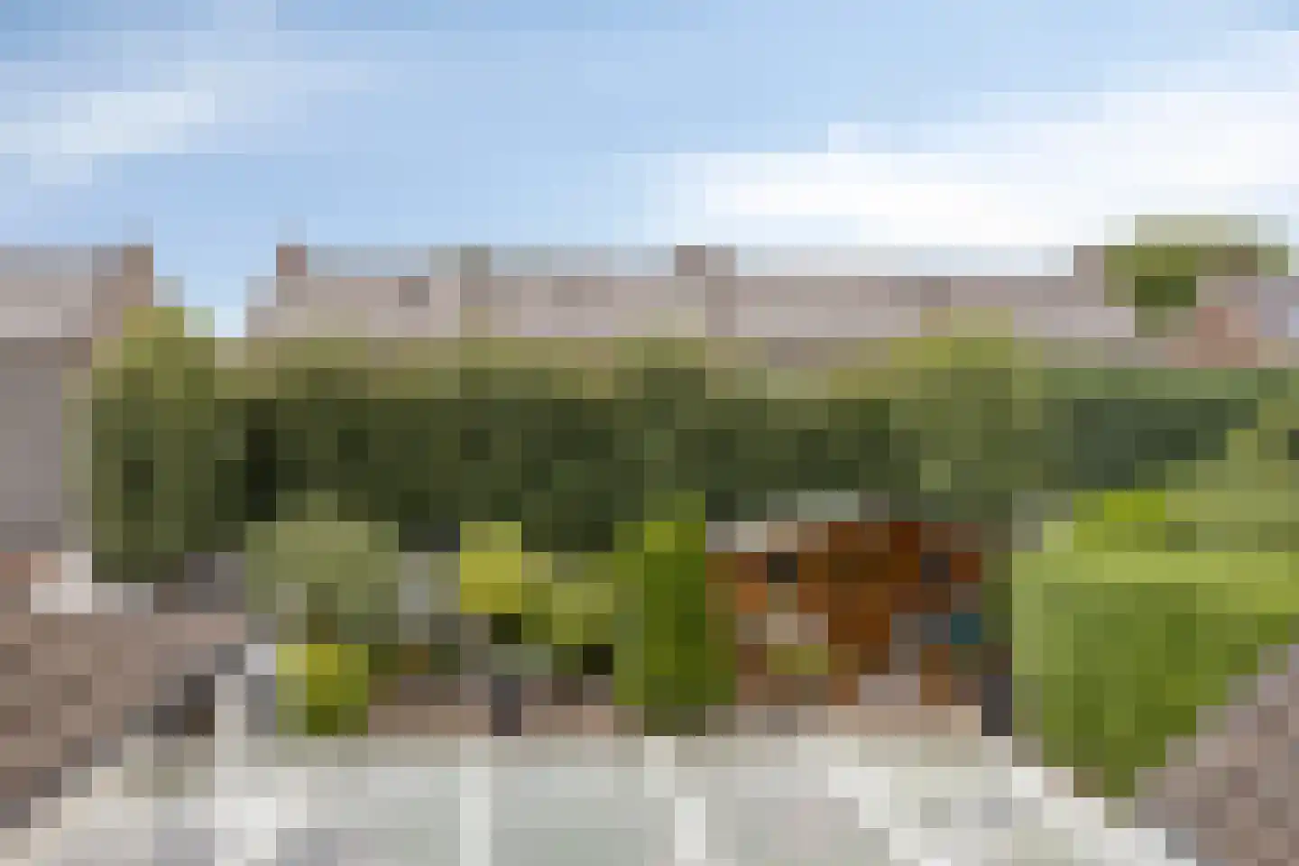 Nachtegaalstraat 85 Haaksbergen thumbnail 43