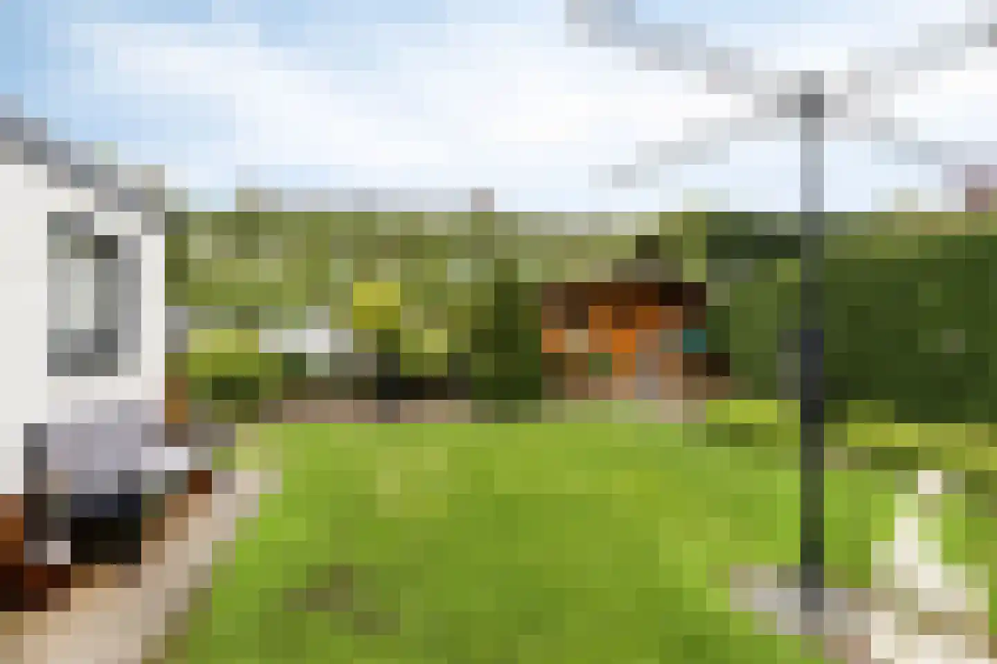 Nachtegaalstraat 85 Haaksbergen thumbnail 5