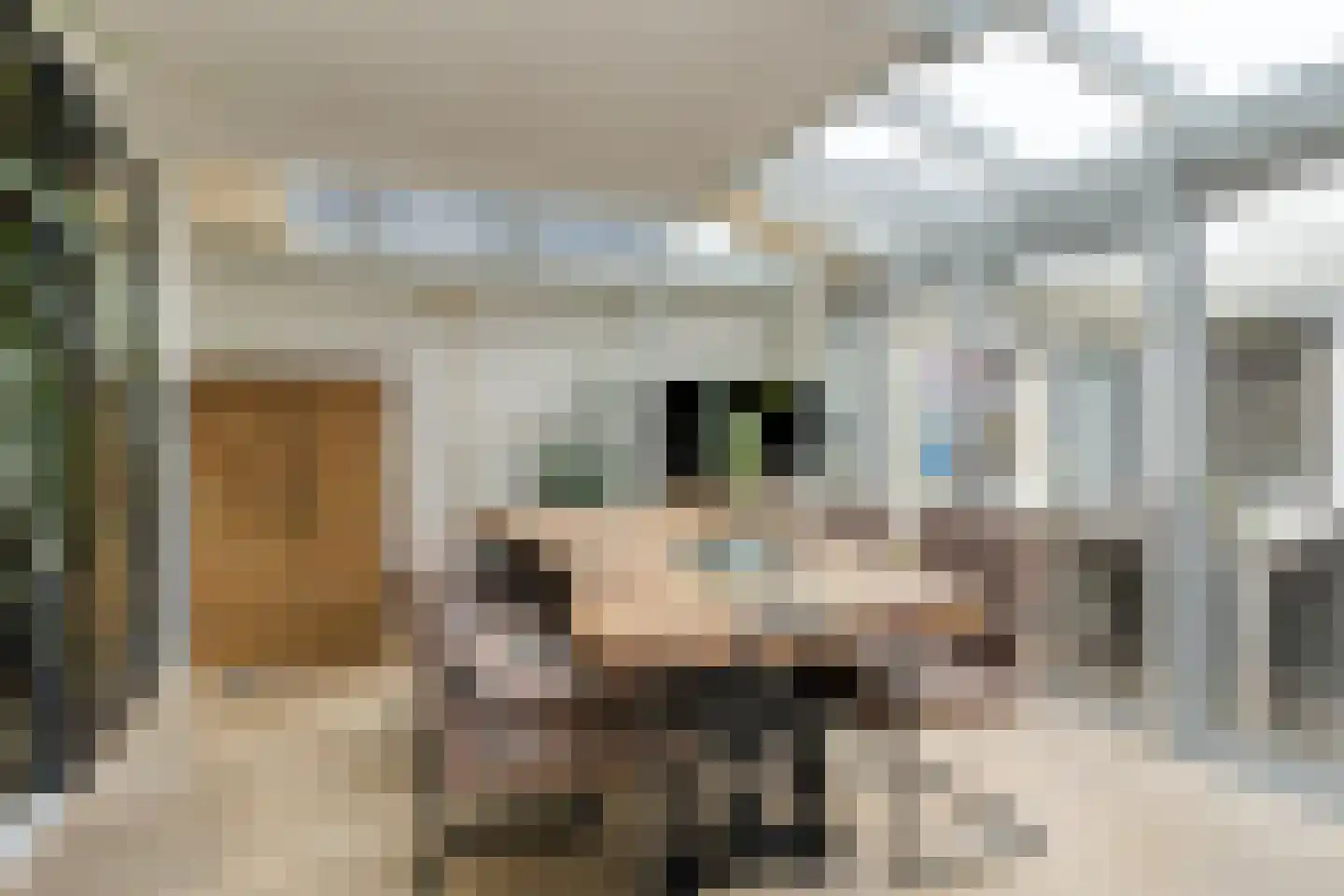 Nachtegaalstraat 85 Haaksbergen thumbnail 7