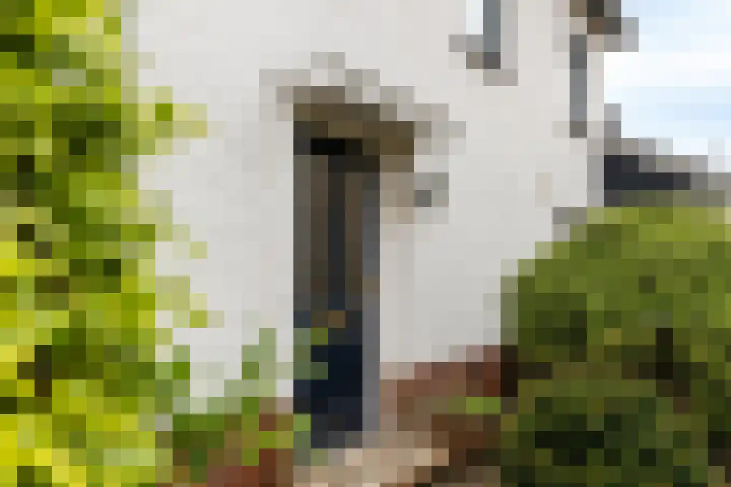 Nachtegaalstraat 85 Haaksbergen thumbnail 9