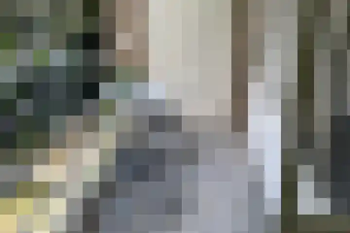Nachtegaalstraat 88 BS Utrecht thumbnail 15