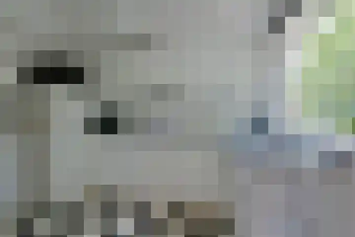 Nachtegaalstraat 88 BS Utrecht thumbnail 17