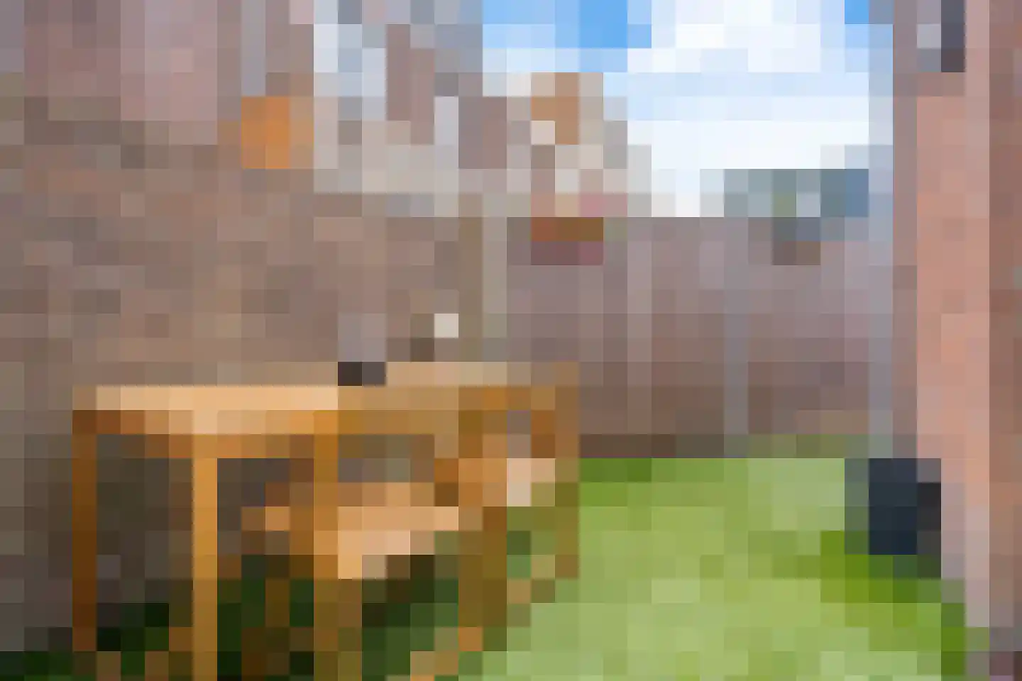 Nachtegaalstraat 88 Haarlem thumbnail 17