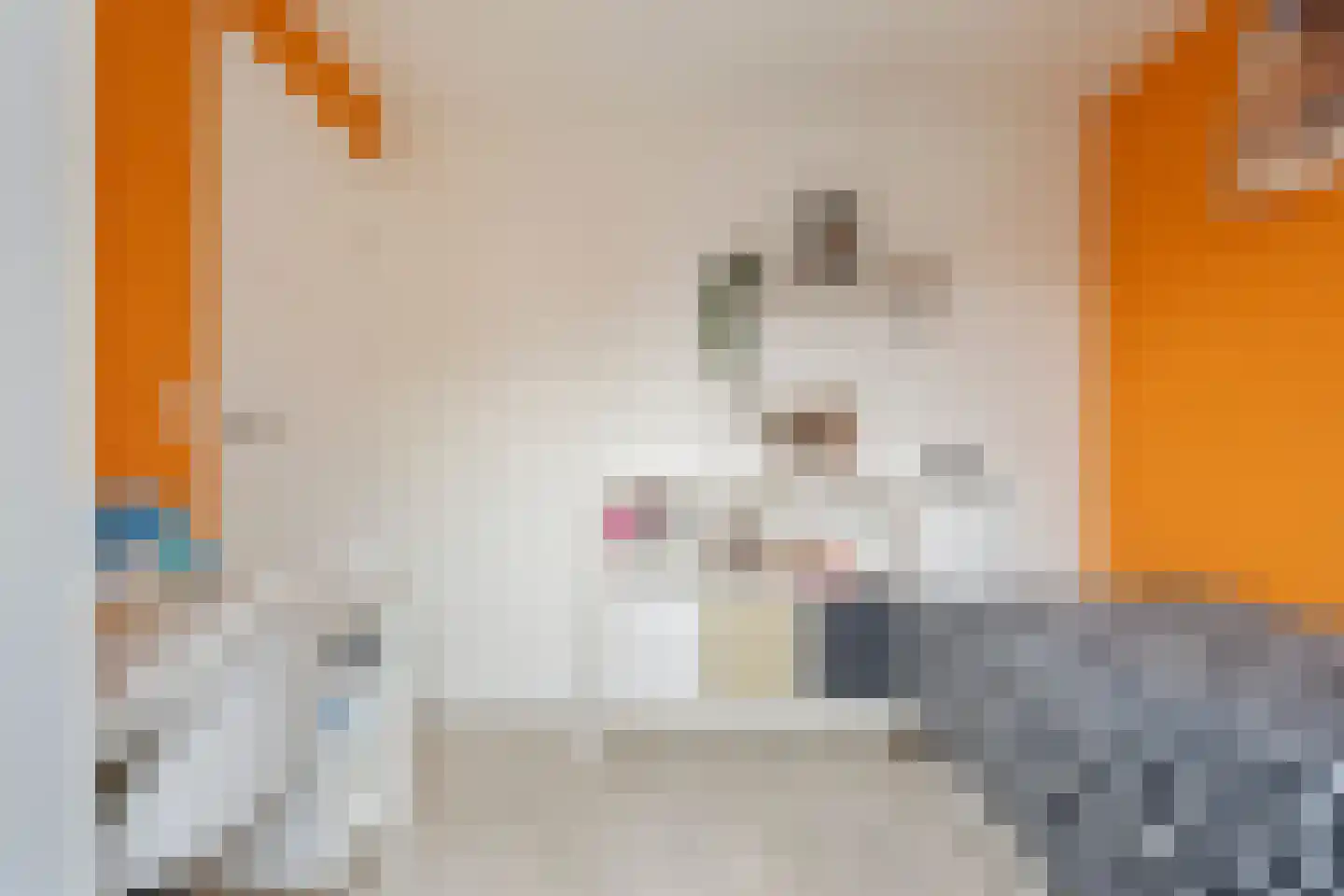 Nachtegaalstraat 88 Haarlem thumbnail 25