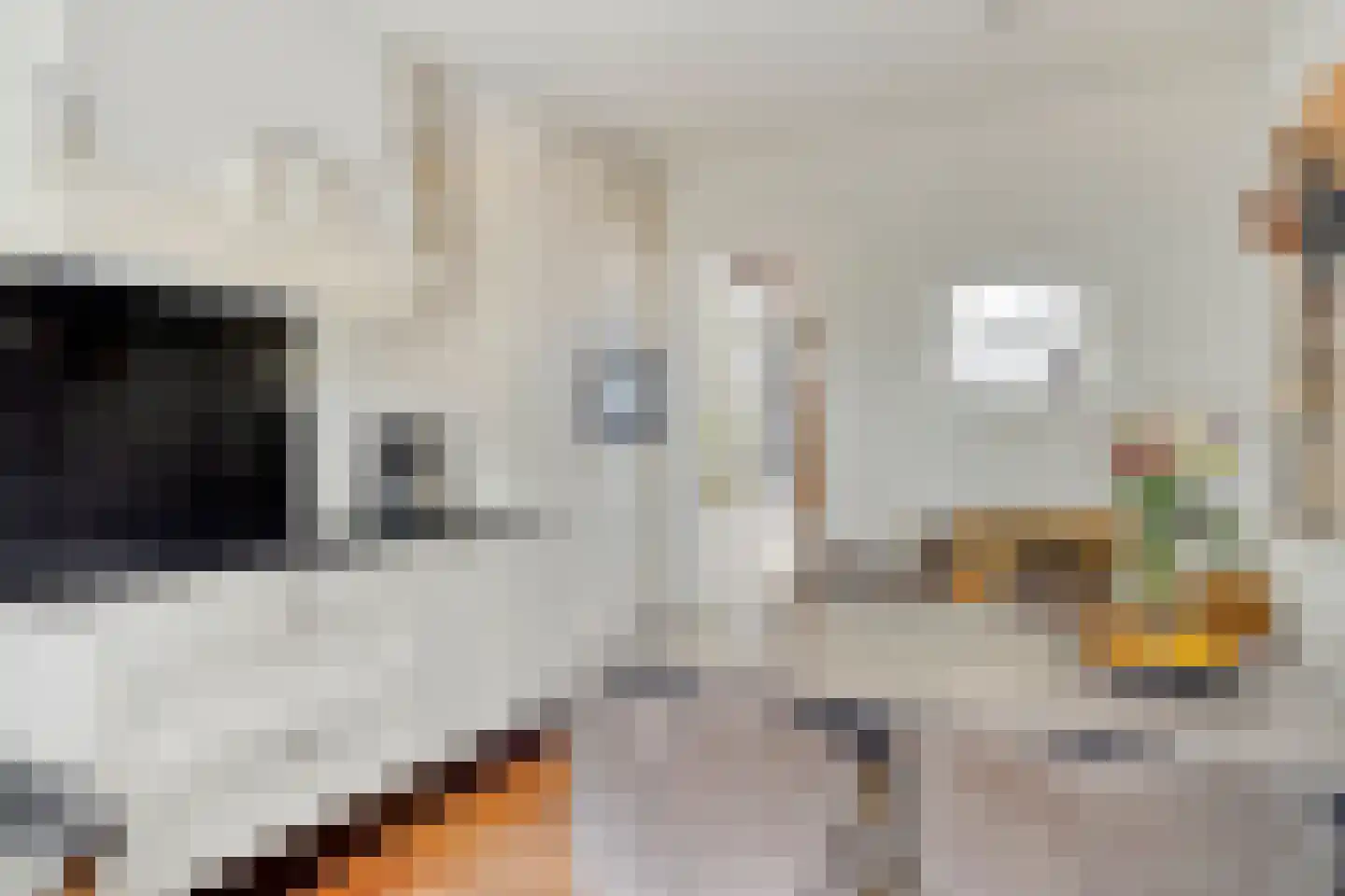 Nachtegaalstraat 9 Winterswijk thumbnail 17