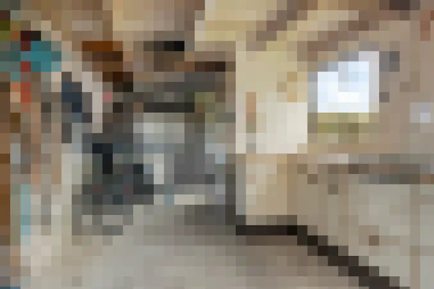 Nachtegaalstraat 9 Winterswijk thumbnail 31