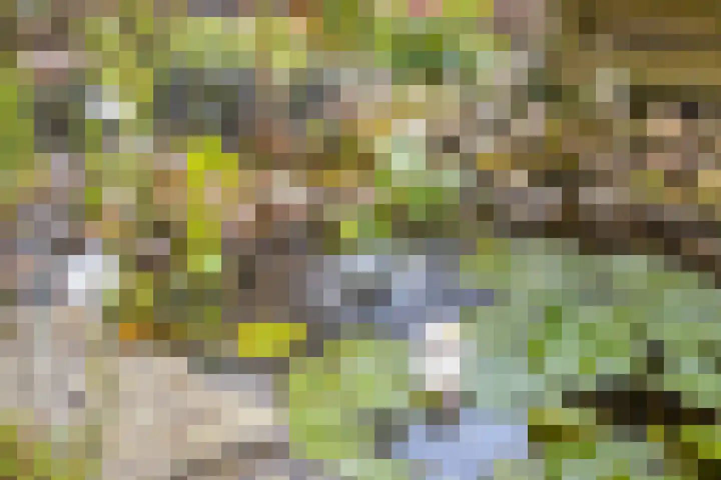 Nachtegaalstraat 9 Winterswijk thumbnail 34