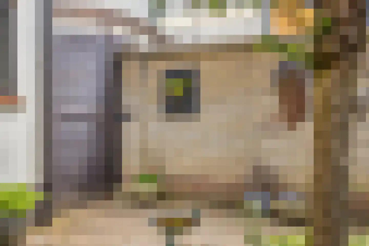 Nachtegaalstraat 9 Winterswijk thumbnail 35