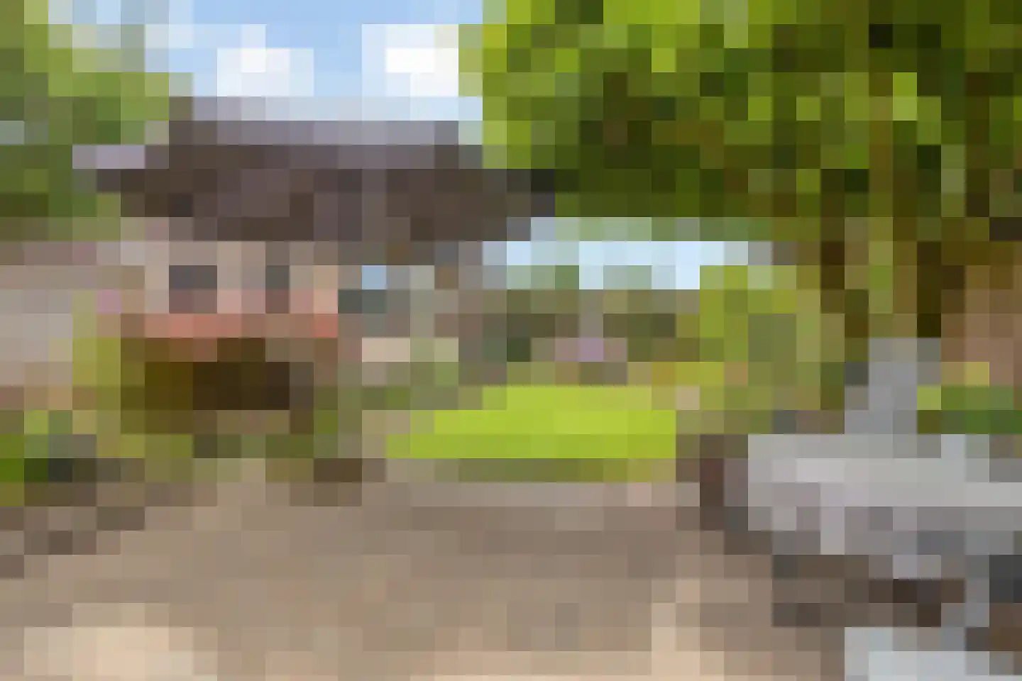 Nachtegaalstraat 9 Winterswijk thumbnail 6