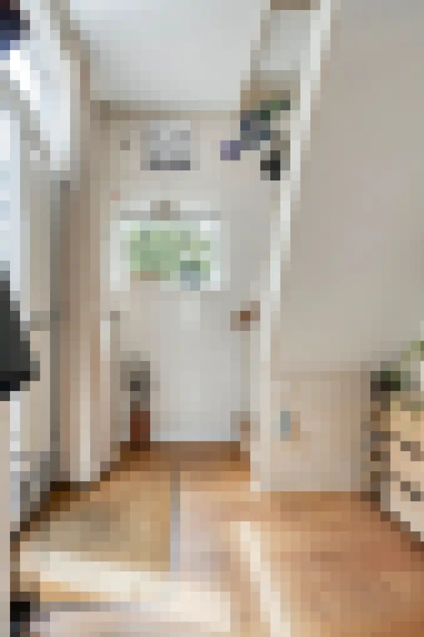 Nachtegaalstraat 9 Winterswijk thumbnail 9
