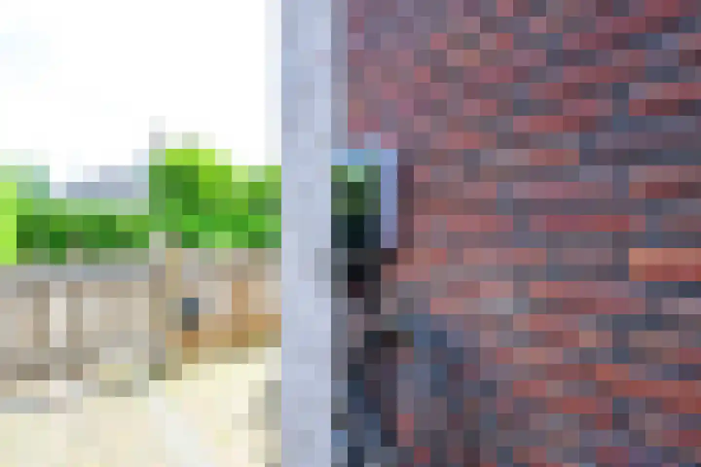 Nachtegaalstraat 93 Heerhugowaard thumbnail 50
