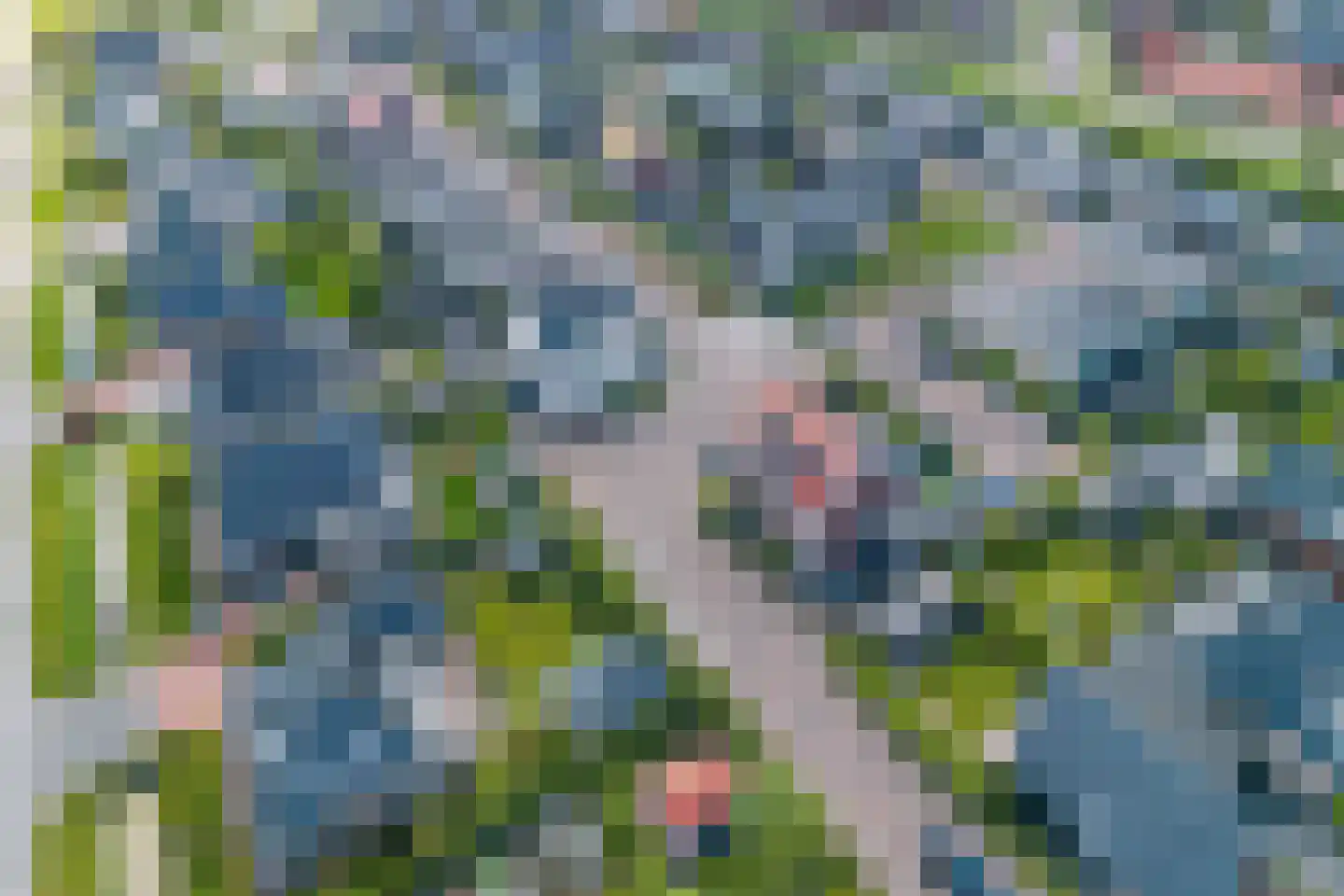 Nachtegaalstraat 93 Heerhugowaard thumbnail 56