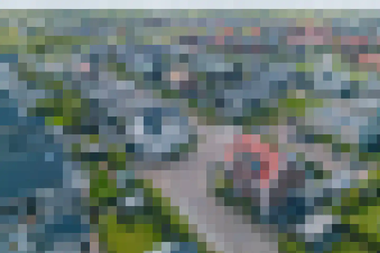 Nachtegaalstraat 93 Heerhugowaard thumbnail 59