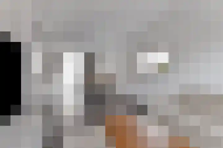 Nachtegaalstraat 96 Haaksbergen thumbnail 8