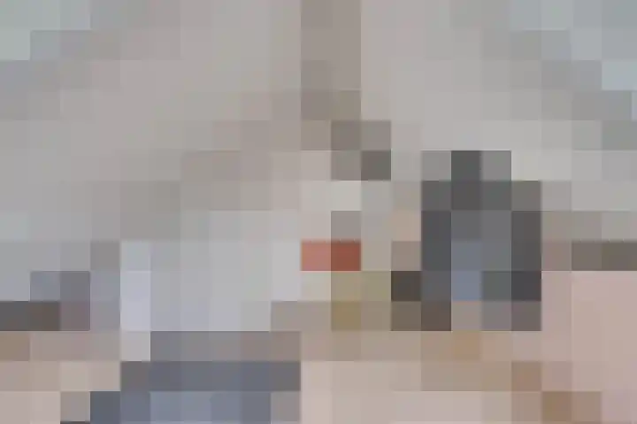 Nachtegaalweg 11 Venlo thumbnail 33