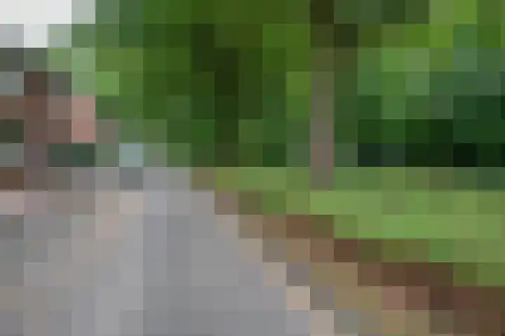 Nachtegaalweg 11 Venlo thumbnail 52
