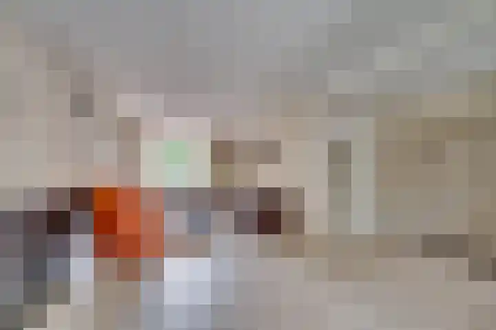 Nachtegaalweg 11 Venlo thumbnail 7