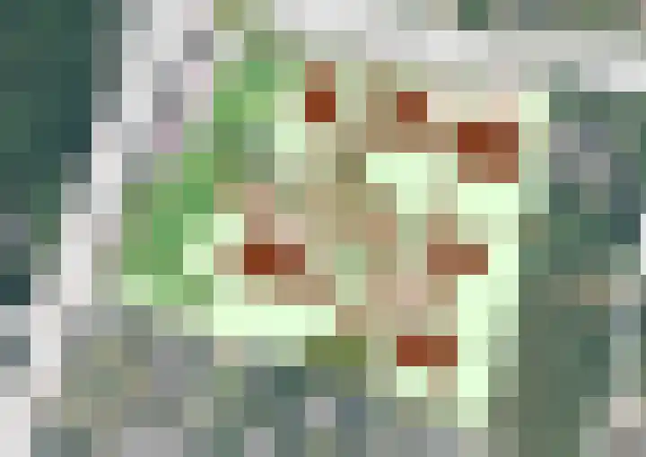 Nachtegaalweg 2 h Wapenveld thumbnail 4