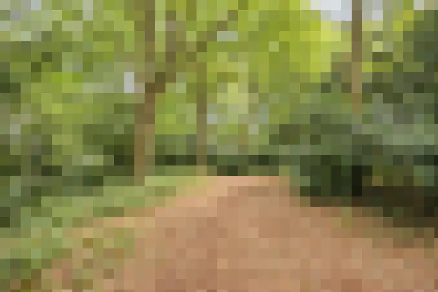 Nachtegaalweg 2 Soest thumbnail 38