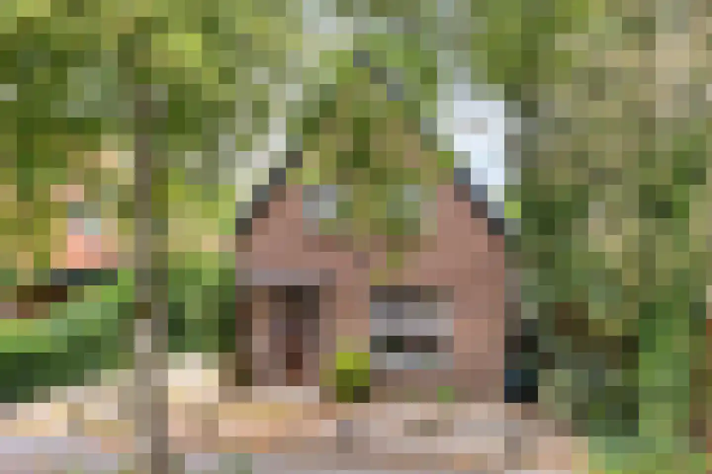 Nachtegaalweg 2 Soest thumbnail 39