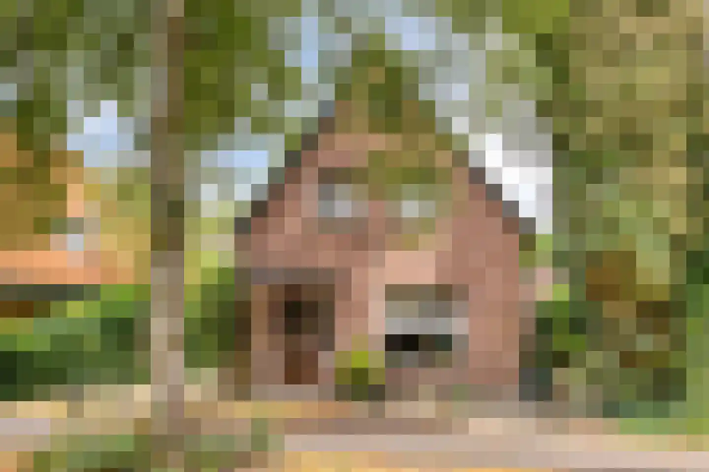Nachtegaalweg 2 Soest thumbnail 41