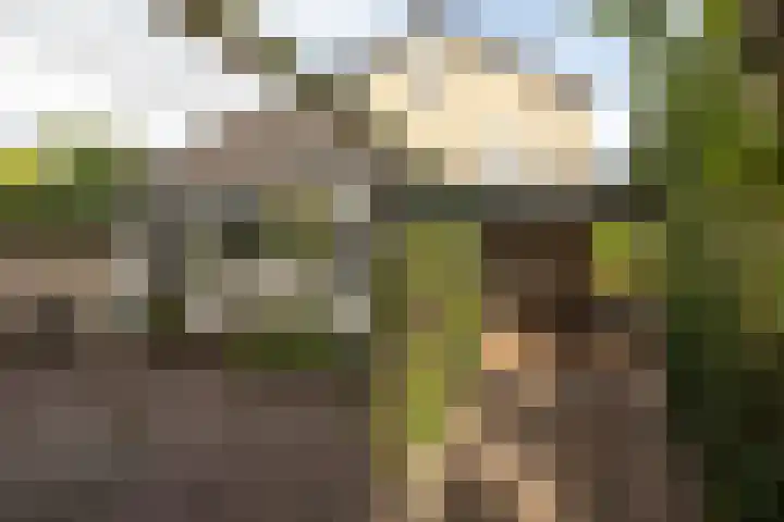 Nachtegaalweg 28 Soest thumbnail 24