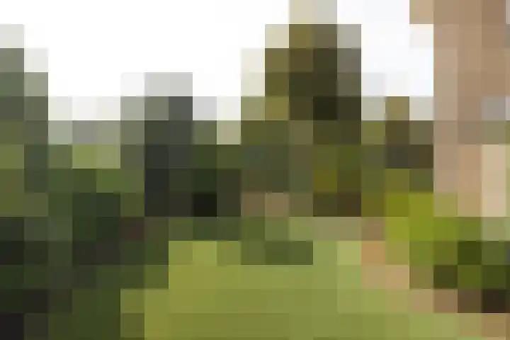 Nachtegaalweg 28 Soest thumbnail 27