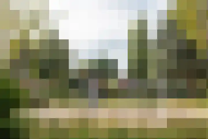 Nachtegaalweg 28 Soest thumbnail 31