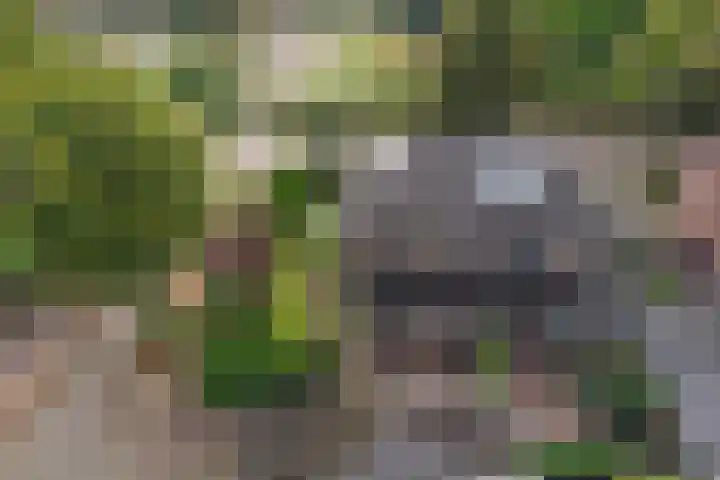 Nachtegaalweg 28 Soest thumbnail 32