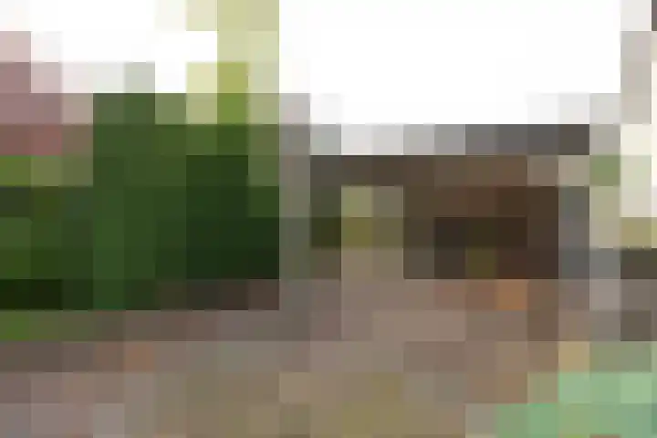 Nachtegaalweg 28 Soest thumbnail 4