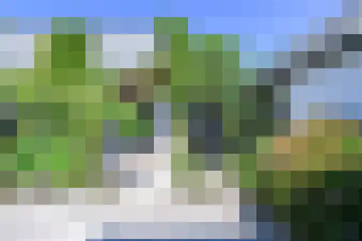 Nachtegaalweg 32 Soest thumbnail 34