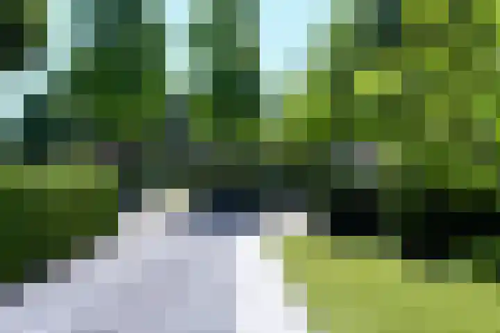 Nachtegaalweg 32 Soest thumbnail 38
