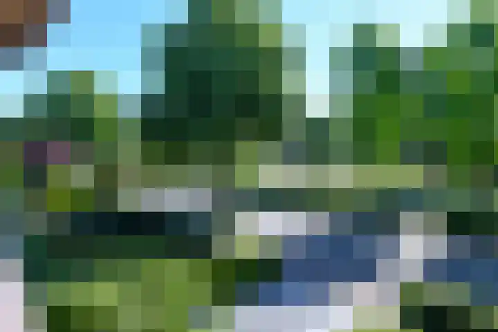 Nachtegaalweg 32 Soest thumbnail 39