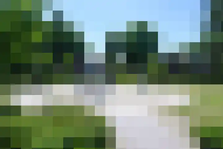Nachtegaalweg 32 Soest thumbnail 42