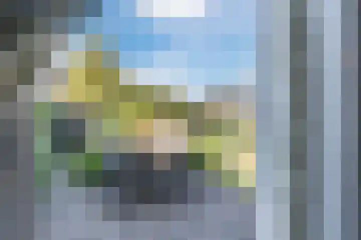 Nachtegaalweg 44 Wapenveld thumbnail 34