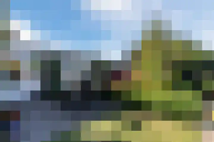Nachtegaalweg 44 Wapenveld thumbnail 37
