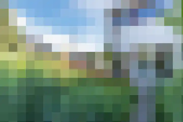 Nachtegaalweg 44 Wapenveld thumbnail 38