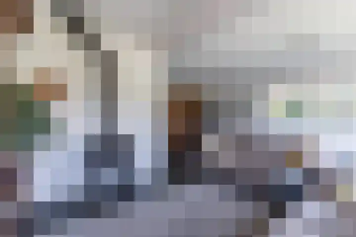 Nachtegaalweg 44 Wapenveld thumbnail 4