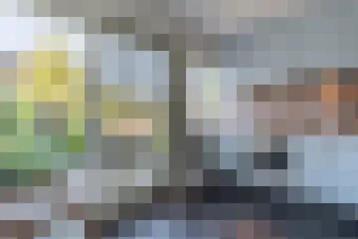 Nachtegaalweg 44 Wapenveld thumbnail 7