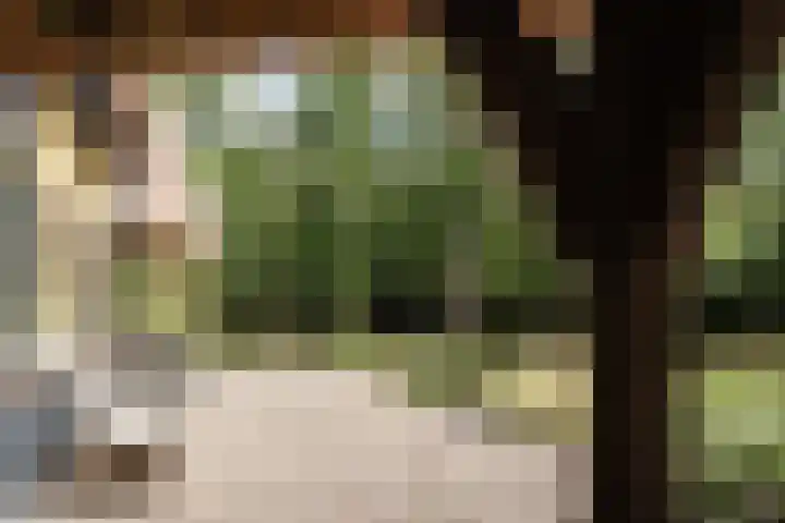 Nachtegalenlaan 12 Aerdenhout thumbnail 16