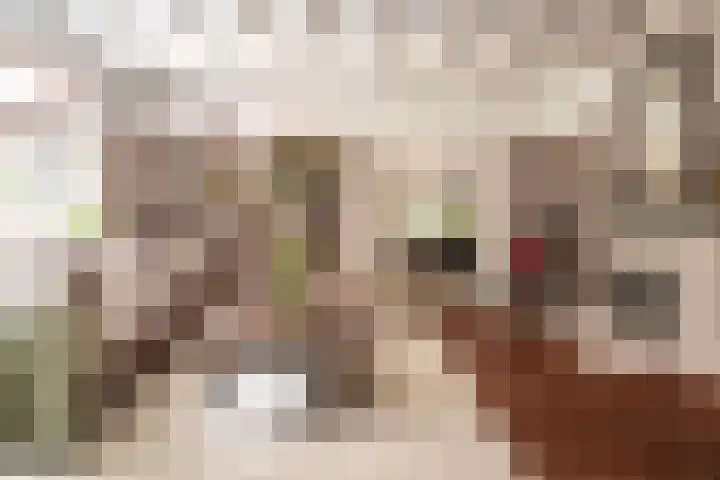 Nachtegalenlaan 12 Aerdenhout thumbnail 19