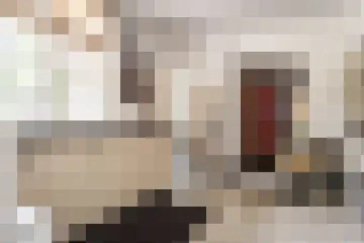 Nachtegalenlaan 12 Aerdenhout thumbnail 29